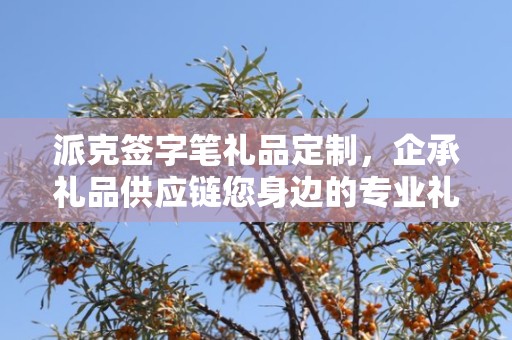 派克签字笔礼品定制，企承礼品供应链您身边的专业礼品定制公司